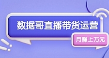 数据哥直播带货运营线上进阶课，让普通人也能靠直播月赚上万元